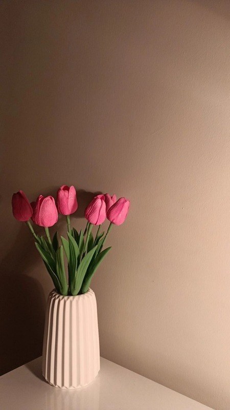 Story de dia a dia sem as figurinhas do Toque Criativo
